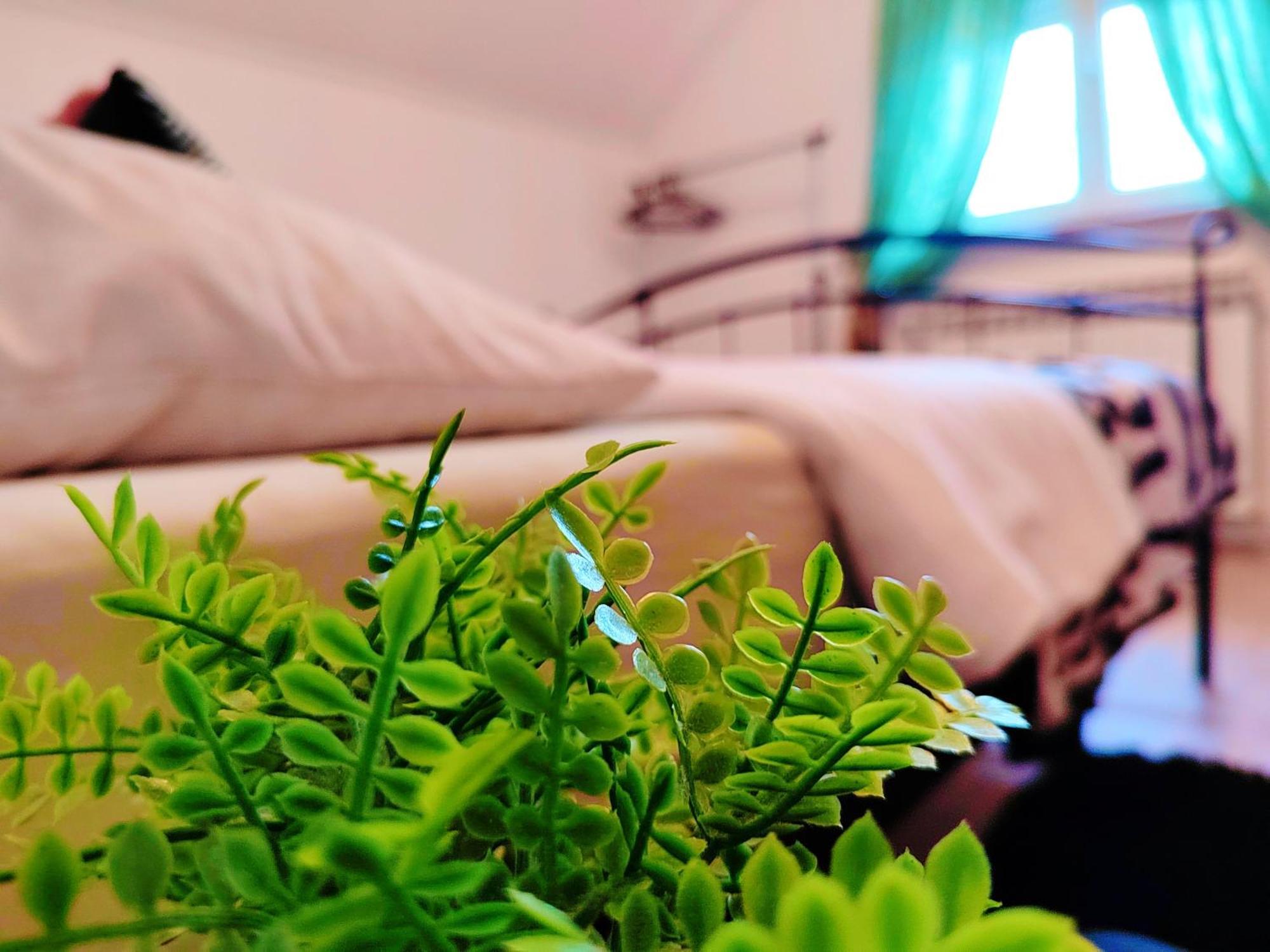 Zagreb, Apartman Jezz Kültér fotó